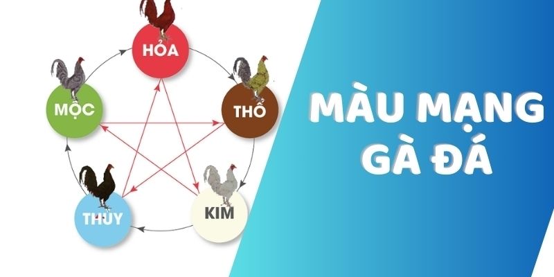 Nắm bắt những bí quyết chọn màu mạng